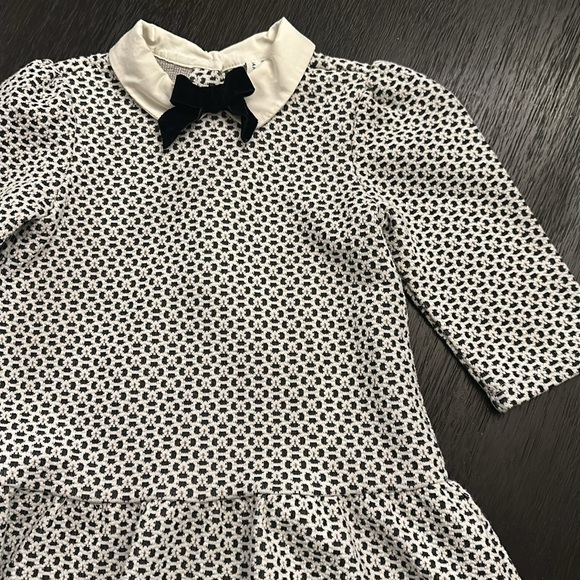 Janie and Jack toddler dress size 3. Mint condition - Picture 4 of 4